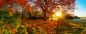 Preview: Wandbild "Herbstsonne"
